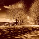 End of the Road